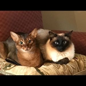 Meet your Posher, Joanne